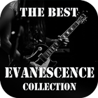 The Best of Evanescence Collection icône