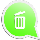Mr Cleaner for Whatsapp Pro icône