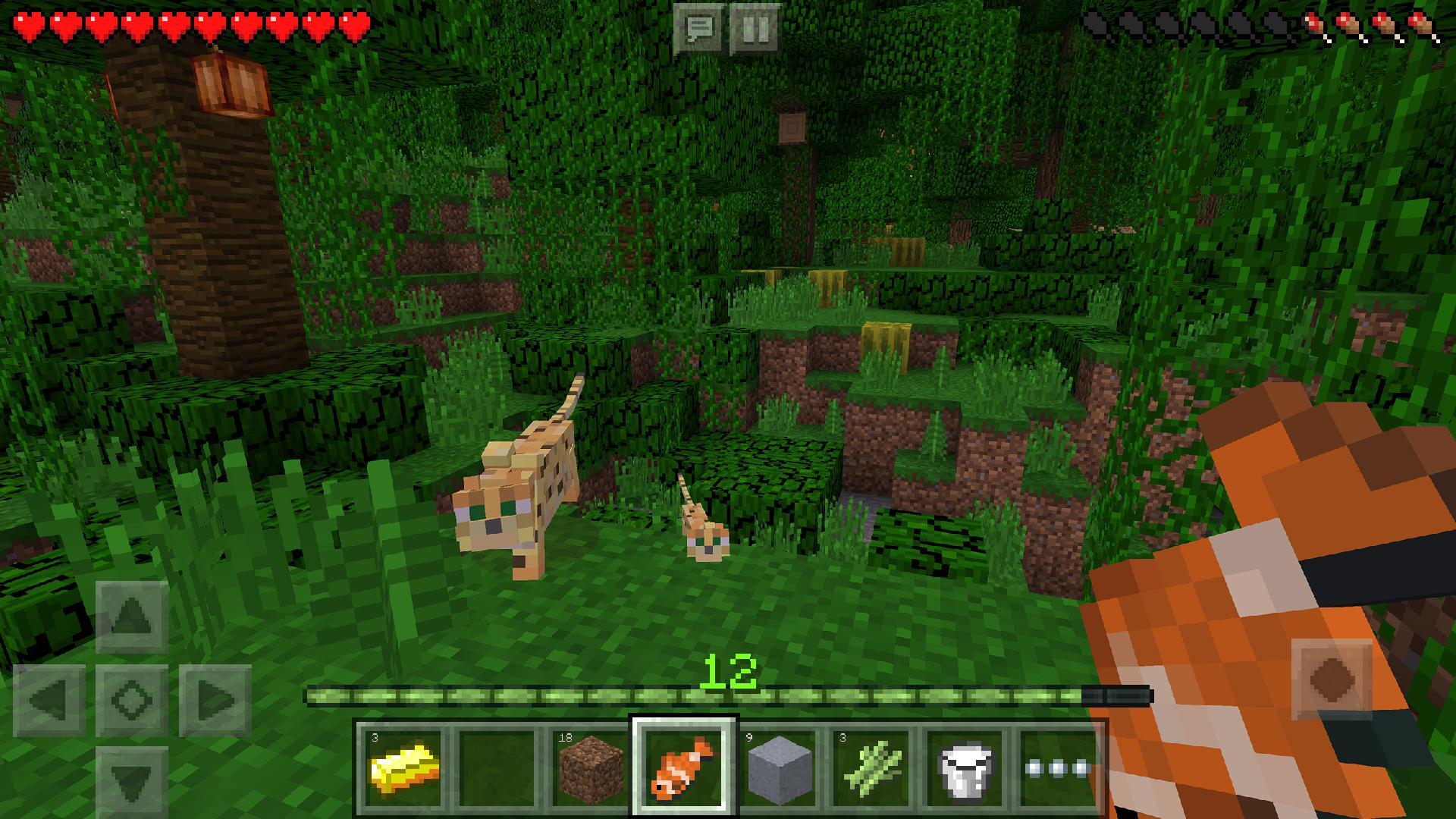 Minecraft For Android Apk Download