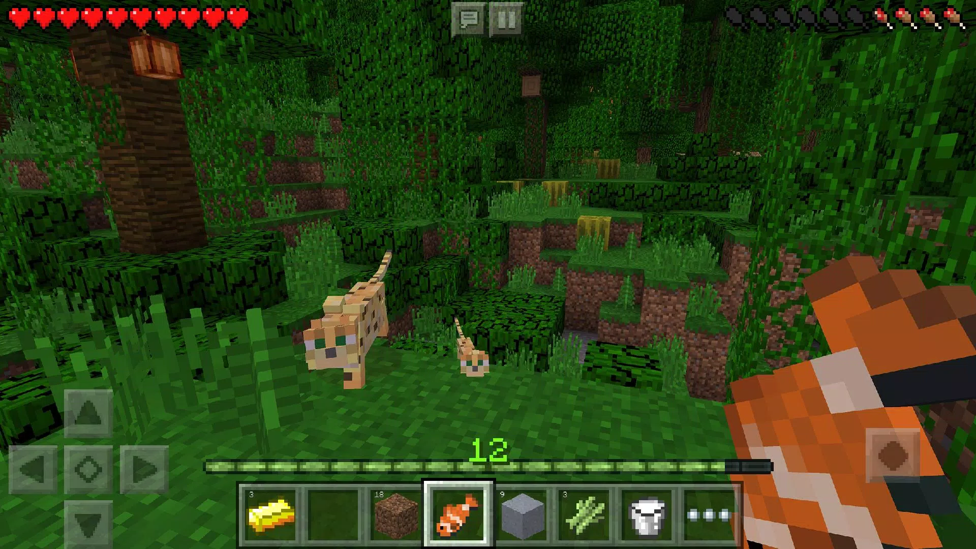 MINECRAFT GRATIS APK 