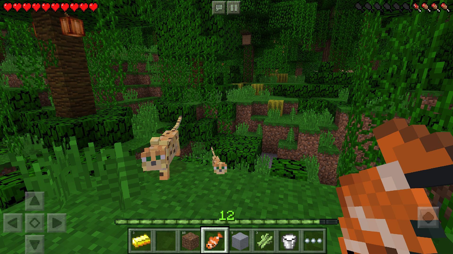 Download Minecraft Pe 1 17 0 50 For Android Amethyst