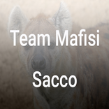 Team Mafisi