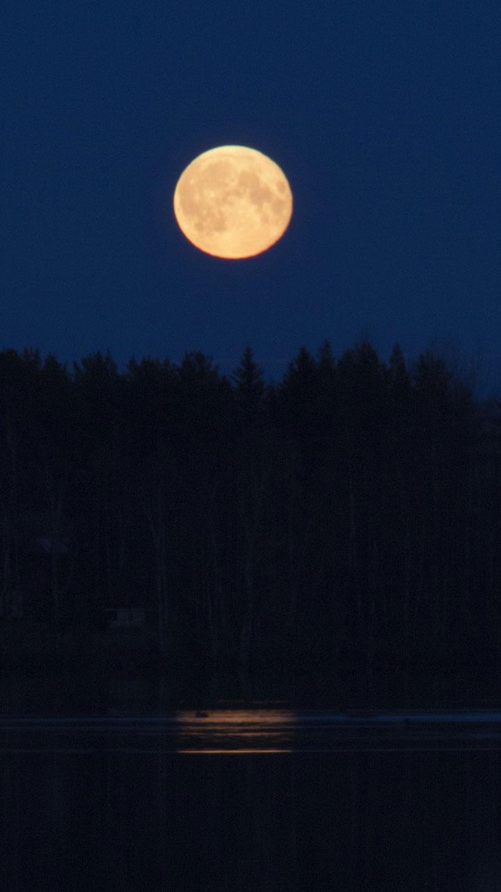pics Moon Hd Wallpapers 4K For Android moon wallpapers night 4k for android