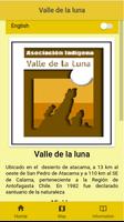 Valle de la Luna(Chile) Affiche