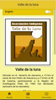 Valle de la Luna(Chile) โปสเตอร์