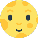 APK MoonHome