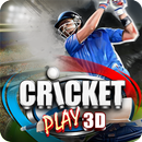 APK Cricket Play 3D: Live The Game