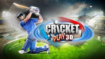 Cricket Play 3D poster