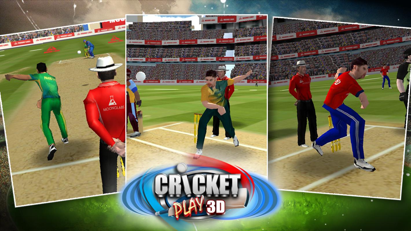 Cricket Spiel Cricket Spiel