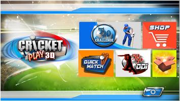 Cricket Play 3D اسکرین شاٹ 1