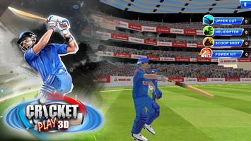 Cricket Play 3D اسکرین شاٹ 2