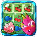 Fruit Star