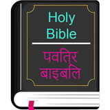English Hindi KJV/CSI Bible icône