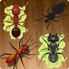 Ant Smasher Free icon