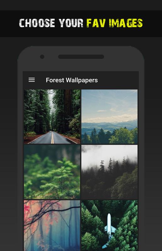 forest wallpapers hd backgrounds free app for android apk download