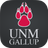 Gallup APK
