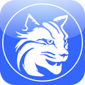 PCT Mobile