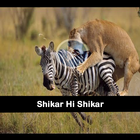 Shikar hi Shikar icône