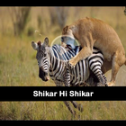 Shikar hi Shikar icon