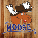 100.1 Moose FM APK