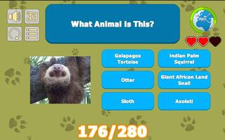 What's That Animal? screenshot 3