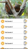 Bat Sounds Cartaz