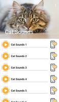 Cat Sounds poster