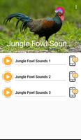 Poster Junglefowl Sounds
