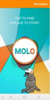 FollowMolo 海报