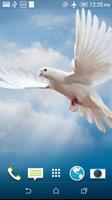 Beautiful Doves Wallpaper اسکرین شاٹ 2