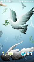 Beautiful Doves Wallpaper اسکرین شاٹ 3