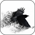 Black Crow 3D Wallpaper