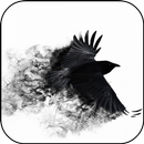 Black Crow 3D Wallpaper-APK