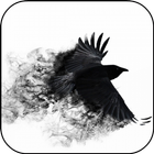 Black Crow 3D Wallpaper icône