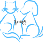 강아지 분양 고양이 분양, 랜덤톡, 채팅 : 몰키펫톡 icon