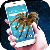 Spider screen Prank 아이콘