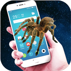 Spider screen Prank icon