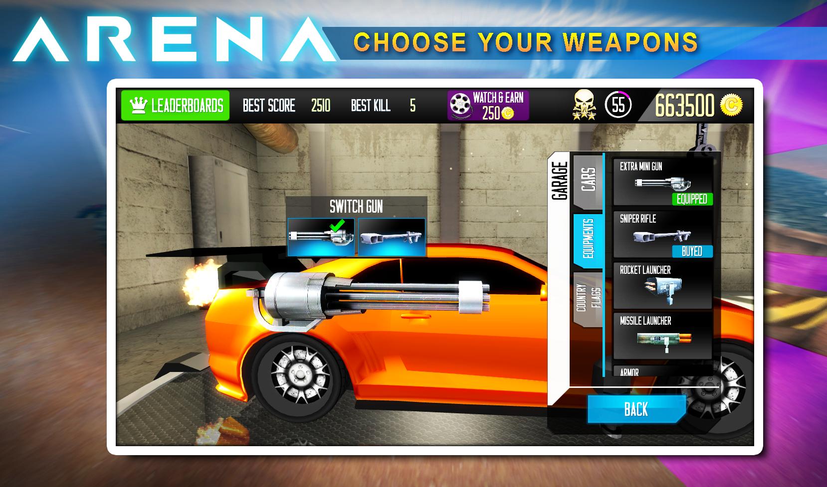 Cars arena cars and guns