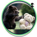 moments unique pets APK
