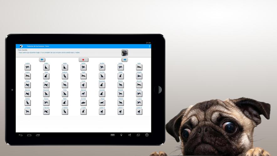 無料で 犬の人間が翻訳を鳴らします アプリの最新版 Apk1 5をダウンロードー Android用 犬の人間が翻訳を鳴らします Apk の最新バージョンをダウンロード Apkfab Com Jp 無料で 犬の人間が翻訳を鳴らします アプリの最新版 Apk1 5をダウンロードー Android用 犬の人間が翻訳を鳴らします Apk の最新バージョンをダウンロード Apkfab Com Jp