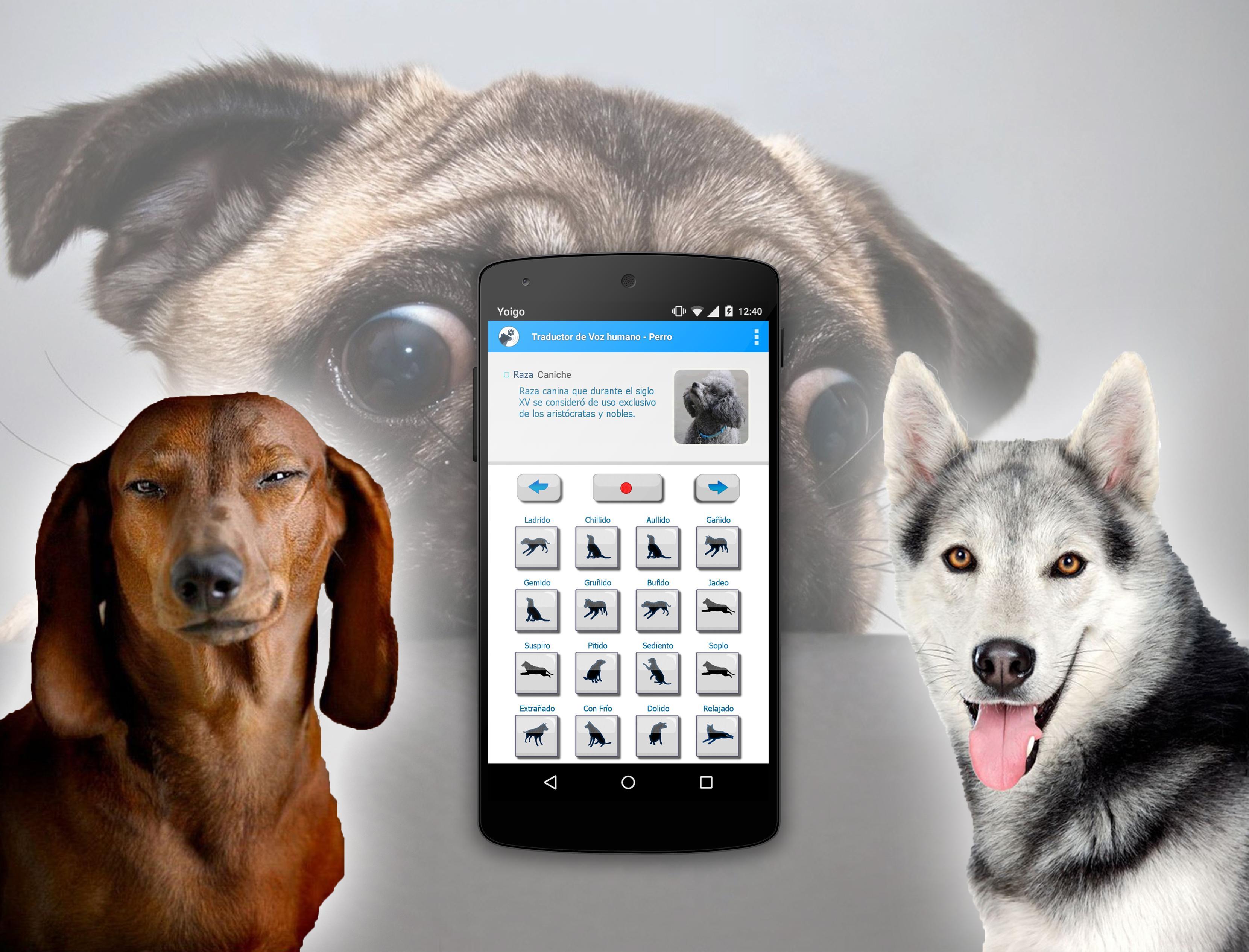 Голосовой собаки. Собака с айфоном. Звук собаки. Приложение собака. Собака андроид.