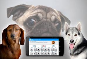 Human to dog sounds translator ภาพหน้าจอ 1