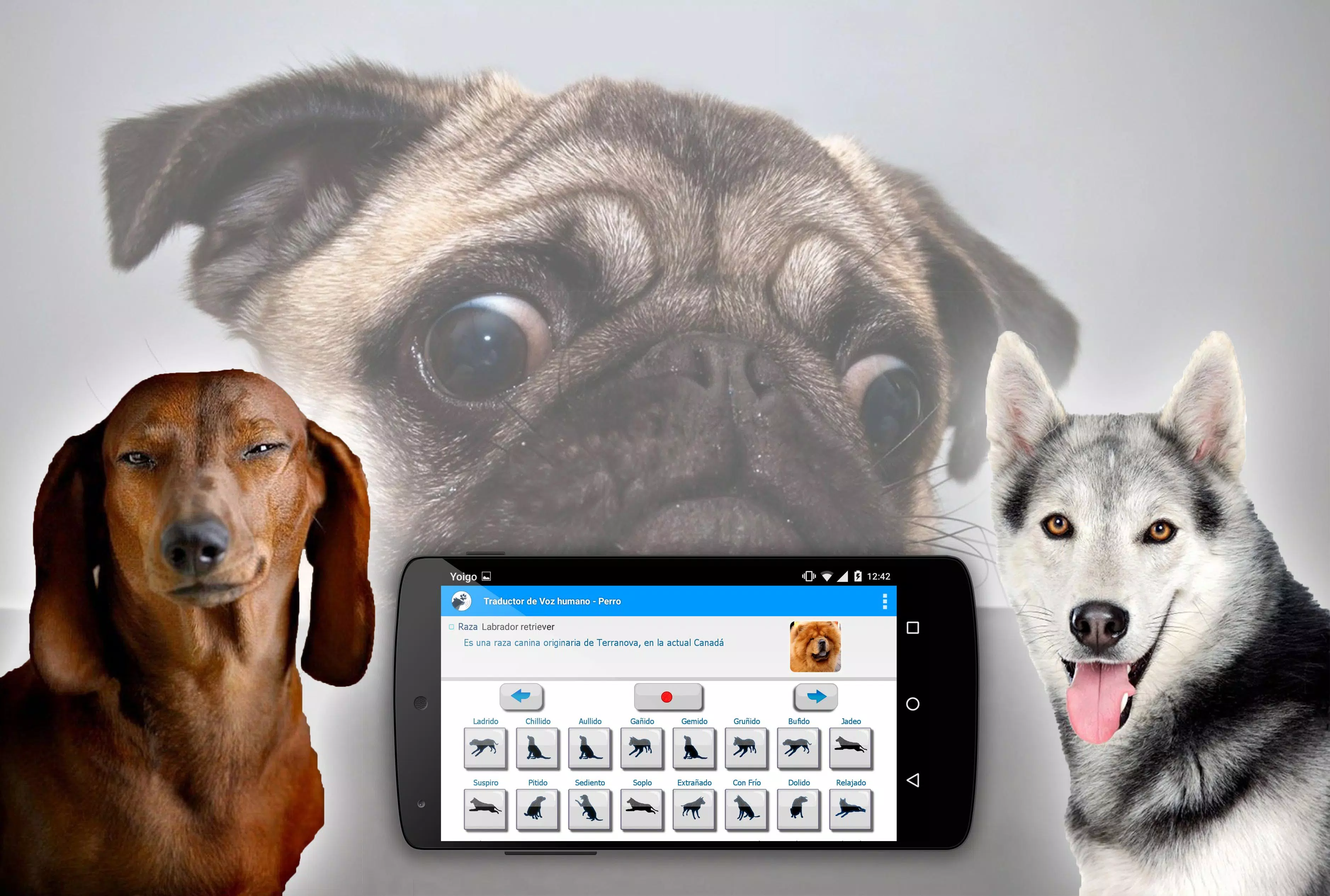 Mensch zu Hund Übersetzer APK für Android herunterladen