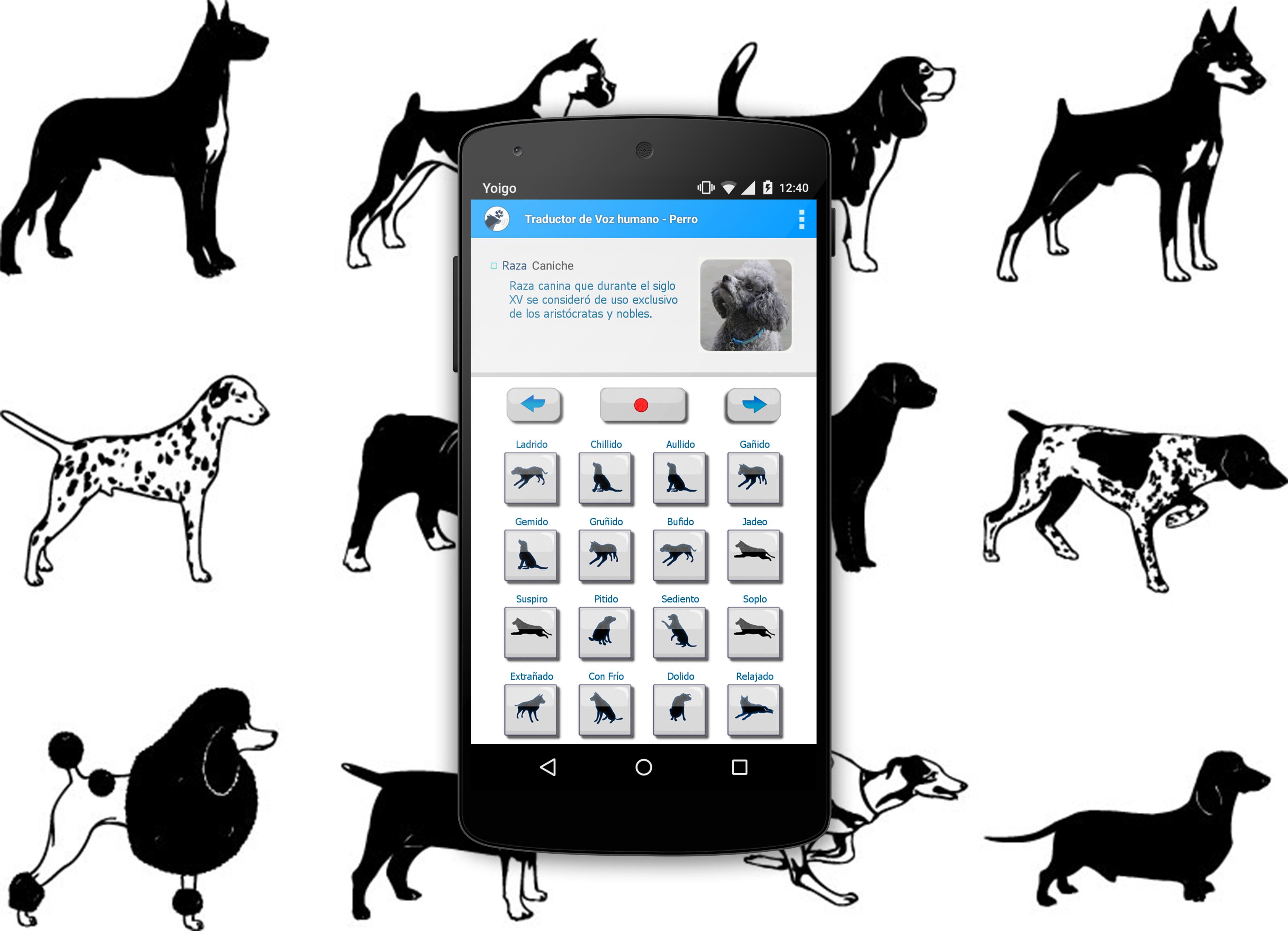 無料で 犬の人間が翻訳を鳴らします アプリの最新版 Apk1 5をダウンロードー Android用 犬の人間が翻訳を鳴らします Apk の最新バージョンをダウンロード Apkfab Com Jp 無料で 犬の人間が翻訳を鳴らします アプリの最新版 Apk1 5をダウンロードー Android用 犬の人間が翻訳を鳴らします Apk の最新バージョンをダウンロード Apkfab Com Jp