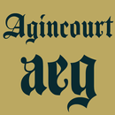 Agincourt FlipFont APK