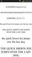 2 Schermata Fonts Clean for FlipFont