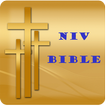 NIV Bible