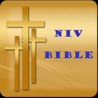 NIV Bible screenshot 2