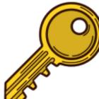 Money Key icon