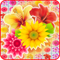 Blossom Mania 3